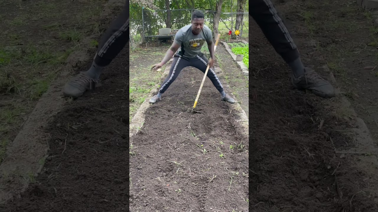 The Oldest Community Garden in Houston
