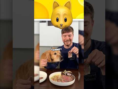Feeding A Dog $1 Vs $10,000 Steak?!
