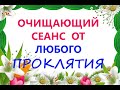 Очищающий Сеанс от любого проклятия!☀️