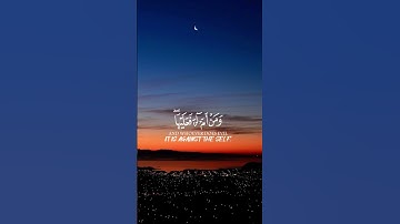 الشيخ ياسر الدوسري (سورة فصلت) #قرآن #اكسبلور #راحة_نفسية #المصحف