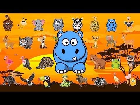 Safari Animal Sounds Song | Animal Sounds Song for Kids | Kids TV Education