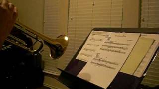 Hindemith Symphony in B flat  I excerpt