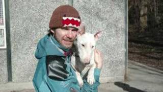 Bulletur Frognerparken