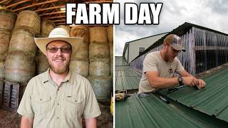 Information Bales In, Horses Fed & the Roof Gets Some Attention - Farm Day! Update