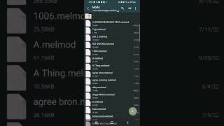 how to get a mod on melon playground screenshot 1