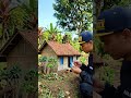 #feedshorts  #trending #trendingshorts #shorts #diorama #viralvideo #miniaturevillage #diy #nature