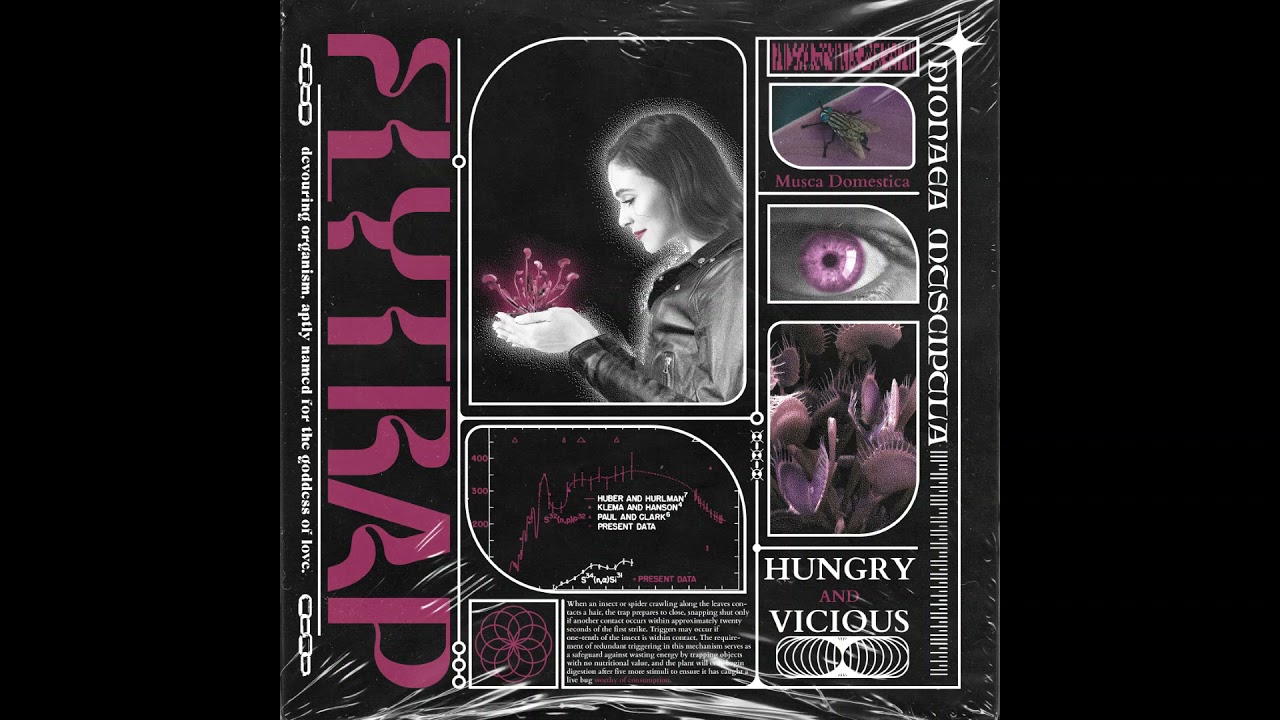 Watch Tearsofmine - Flytrap on YouTube Watch Tearsofmine - Flytrap on YouTube