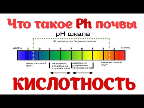 Ph Кислотность почвы. Как получить максимальный урожай? Определить ph почвы