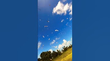 Failure to Launch #avata2 #drone #dji #fpv #crash #travel