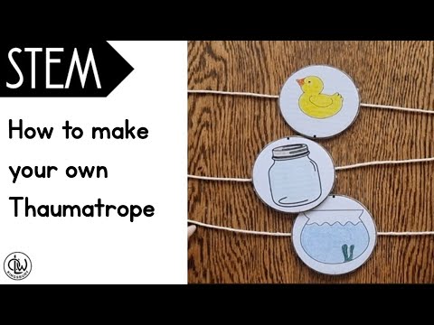 STEM | How to make a Thaumatrope (optical illusion toy)