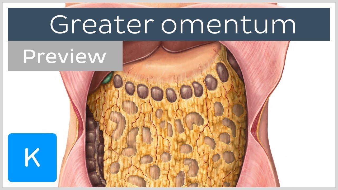 mesothelioma mucin positive