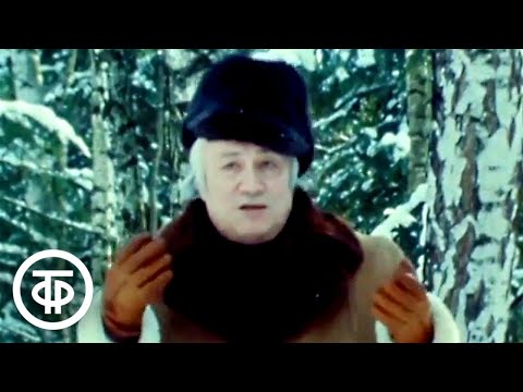 Рассказы о художниках. Борис Кустодиев (1981)