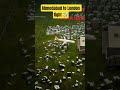 Ahmedabad to London flight ✈️ plane crash AI Animations #trending #ahmedabad #airport #planecrash