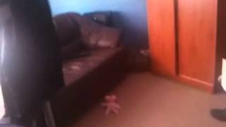 Dalit blog for you guy