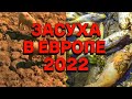 В Европе засуха сильнейшая за 500 лет! Жара высушила реки и уничтожила весь уражай