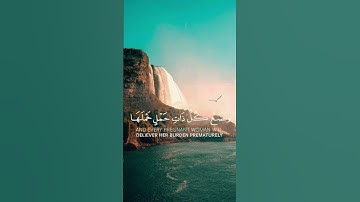 القارئ:ياسر الدوسري #quran #allah #islam #explore #islamic #islamicstatus