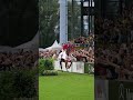 Moments like this ✨🐎 #chioaachen #showjumping #equestrian