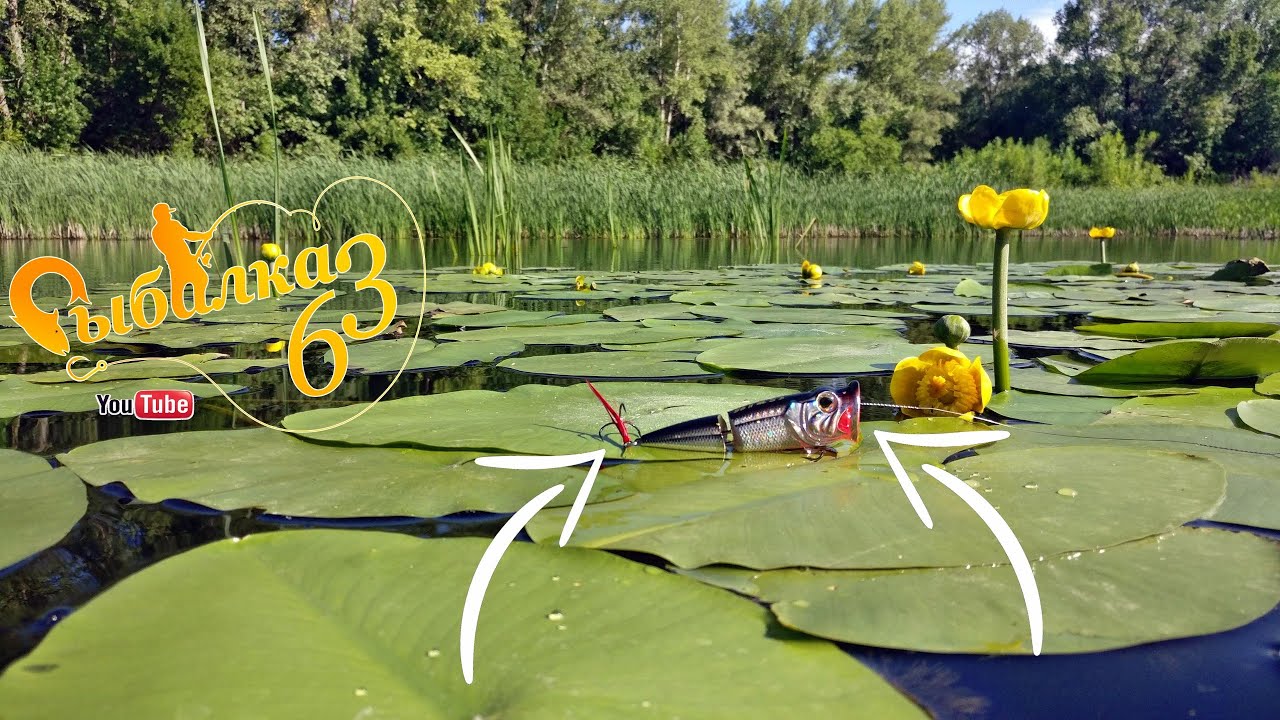 Ловля щуки и окуня на поппер, рыбалка в августе на поверхностные ...
