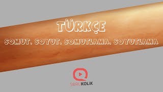 LGS Türkçe Sözcükte Anlam İlişkileri - 2 Somut, Soyut, Somutlama, Soyutlama