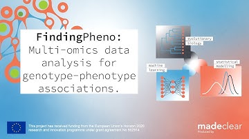 FindingPheno: Multi-omics data analysis for genotype-phenotype associations.