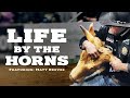 "Life by the Horns" | featuring Matt Reeves