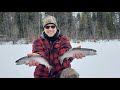 Ice fishing rainbow trout  rosebud lake