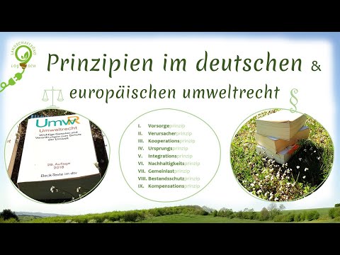 9 Prinzipien im Deutschen und Europäischen Umweltrecht | Einfach erklärt + Beispiele