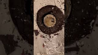 Toilet flange Repair #plumbers #diy #plumbing #plumber #shorts  #shortvideo  #short  #shortsfeed