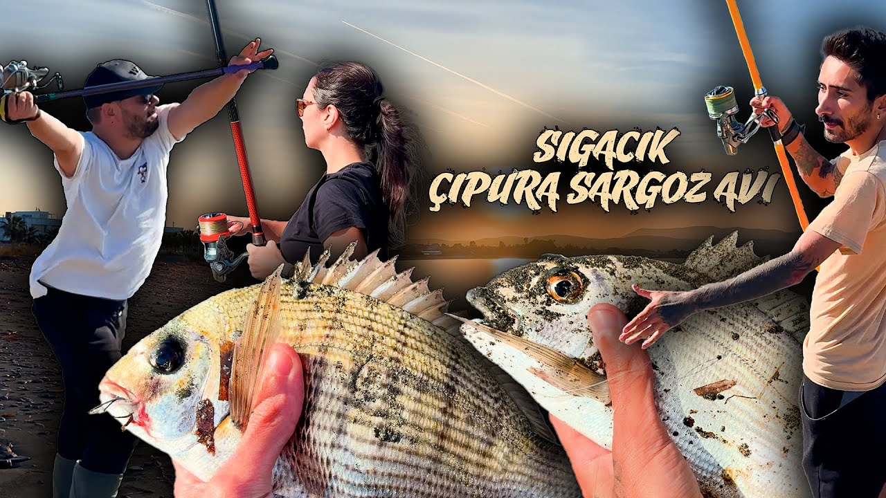 Sığacık’ta Balık Bereketi: Çupra, Sargoz ve Daha Fazlası!
