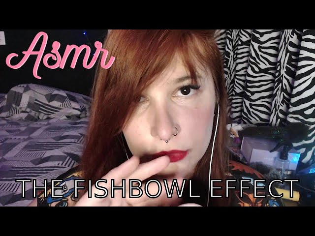 ASMR-VC É UM PEIXE! YOU ARE A FISH!The fishbowl effect with echo (inaudível e mouth sounds com eco)