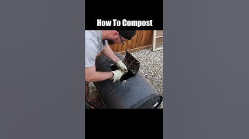 How To Compost #shorts