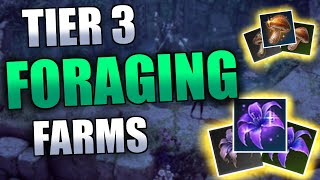 LOST ARK - TIER 3 - FORAGING FARMS (PUNIKA SOUTH VERN) LOST ARK - TIER 3 - FORAGING FARMS (PUNIKA SOUTH VERN)