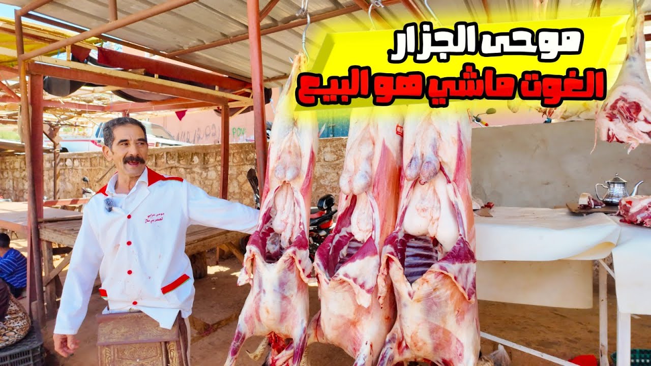 الجزار موحى عرابي الغوت ماشي هو البيع وشراء