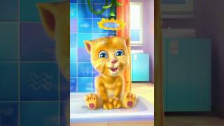 Talking Ginger Makes Noise And Gets Grounded