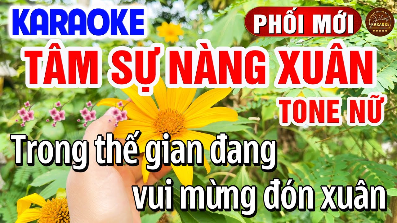 Tâm Sự Nàng Xuân Karaoke Tone Nữ Dễ Hát Nhạc Tết 2026 | Y Dung Karaoke