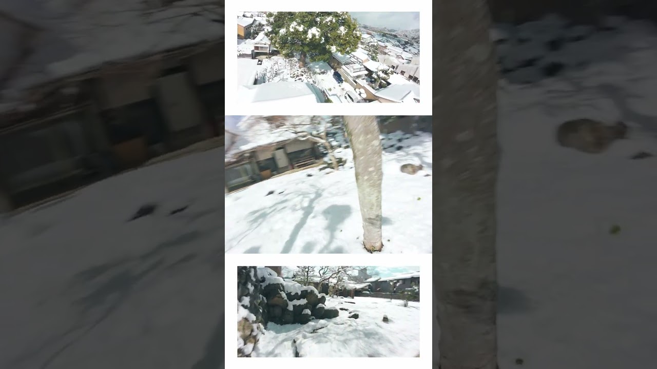 【DJI AVATA2】雪景色のstudioたまぼしでAVATA2を飛ばしてみた!