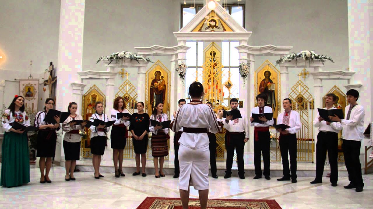 Пливе кача - YouTube