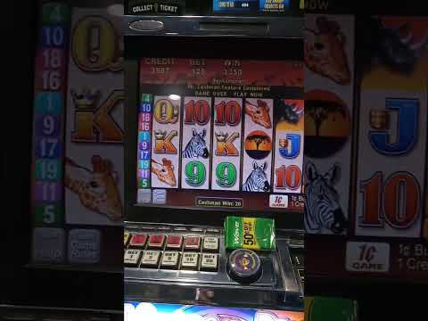 Coin Frenzy Slot Machine Tiger Bonus