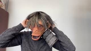 Hey hey he’s a Monkey