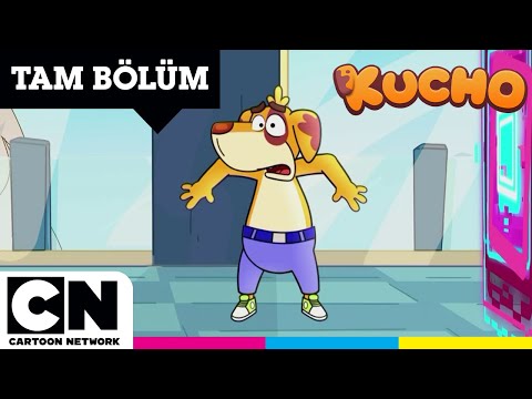 KUCHO | Kümesten Gelen Tıkırtı | TAM BÖLÜM | #YENİ Çizgi Film | @cartoonnetworkturkiye