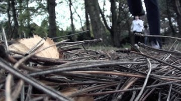 Opening Sequence First draft