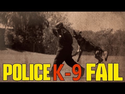 k9