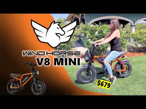 Windhorse V8MINI Review