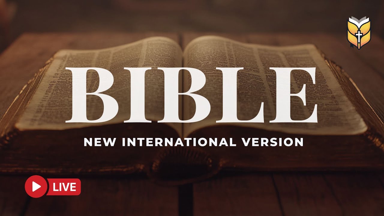 God’s Word for Every Moment 🔴 BibleVision Live 24/7