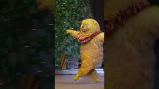 The Nutcracker | The Nutcracker Bear
