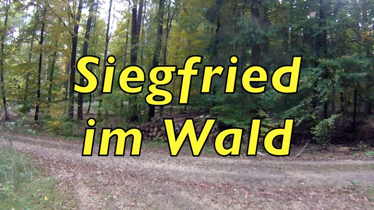 Siegfried im Wald