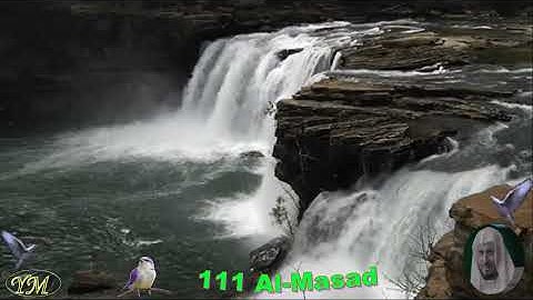 111 Al Masad الشيخ سعد الغامدي سورة المسد