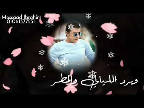 ليلة شتا مصطفي كامل