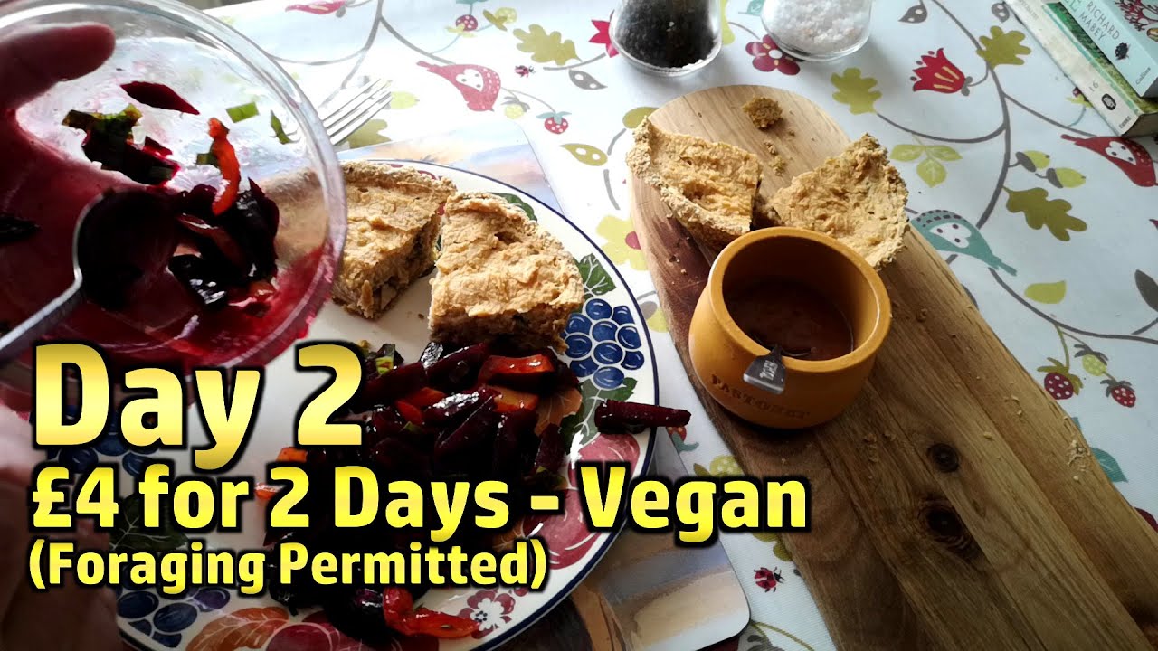 Limited Budget Challenge: 2 days, £4, Ambient Vegan, with Foraging - Day 2