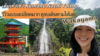 เดินเท้าเข้า Kumano Nachi Taisha รีวิวแบบละเอียดมาก ดูจบเดินตามได้เลย | เดินป่าญี่ปุ่น | Kumano Kodo